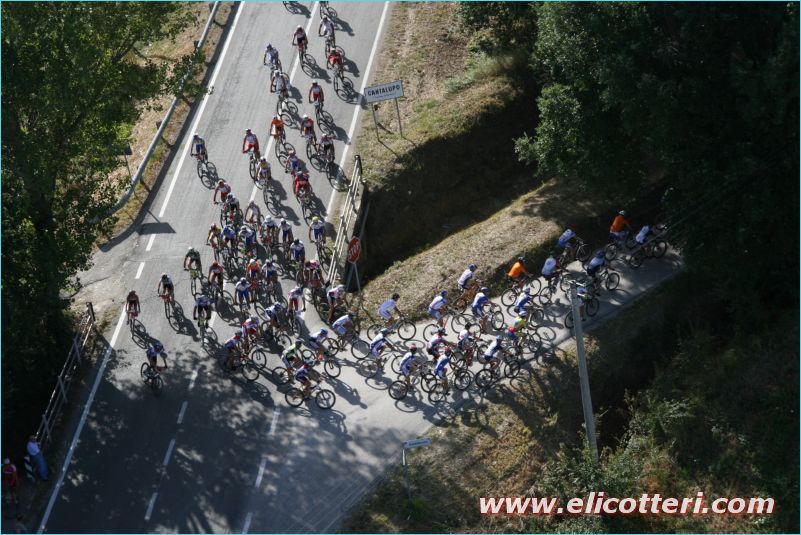 elifoto (233)